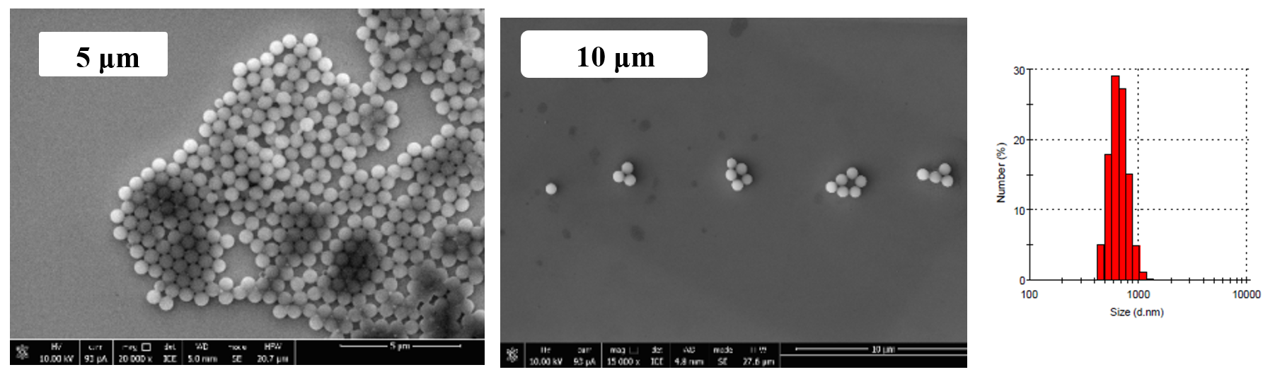 Photomicrographs and histogram of particle size distribution of polyvinyl acetate suspension