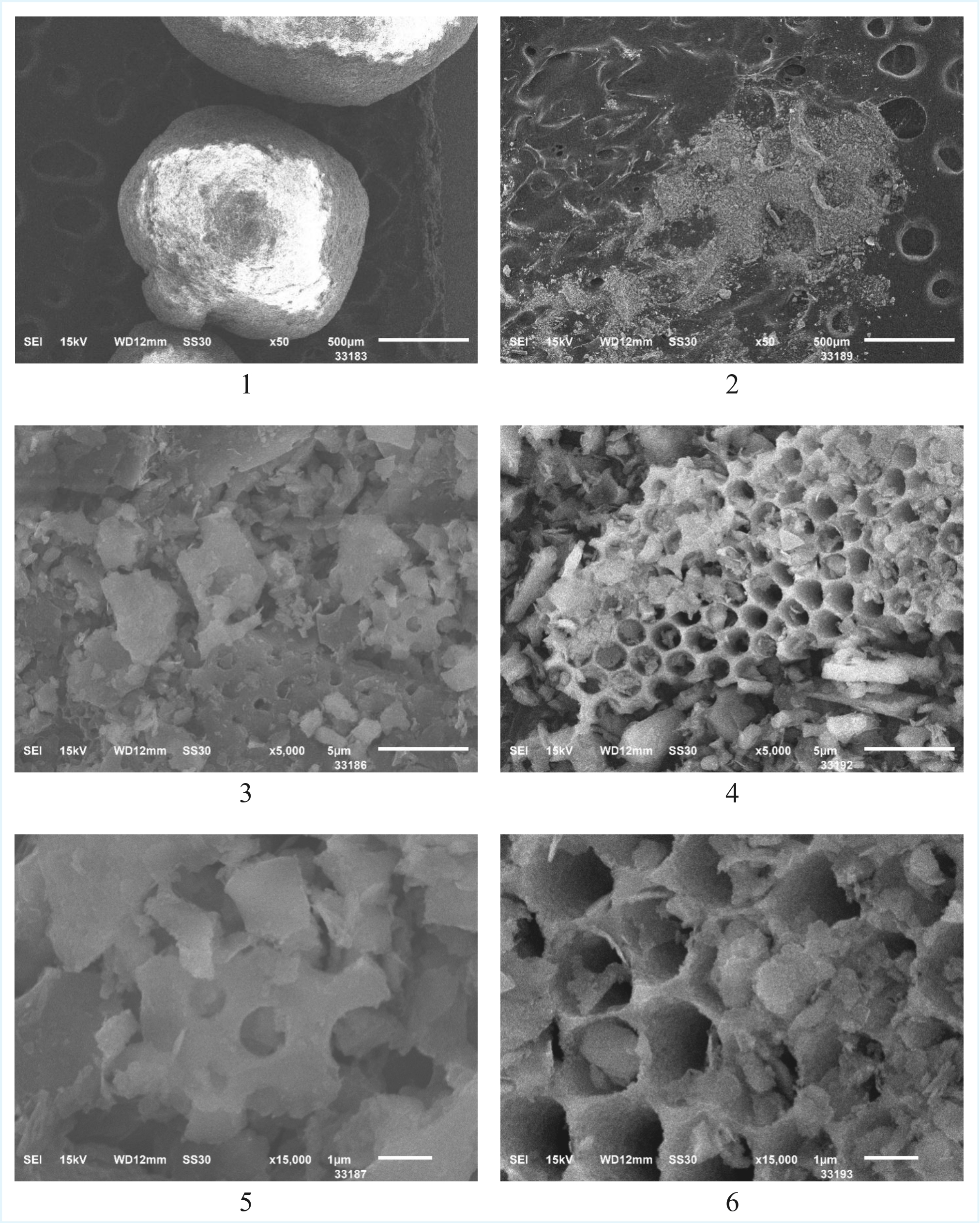 Результаты СЭМ поверхности гранул диатомита (1, 3, 5) и порошка диатомита (2, 4, 6)